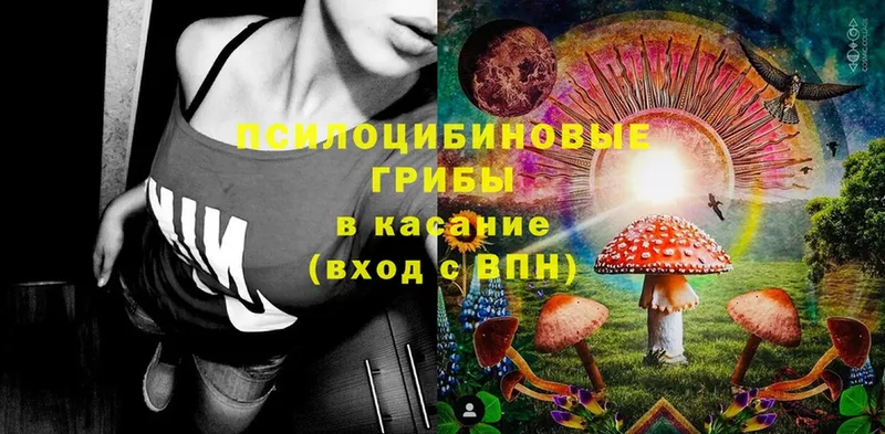 Псилоцибиновые грибы MAGIC MUSHROOMS  omg как войти  Подпорожье 